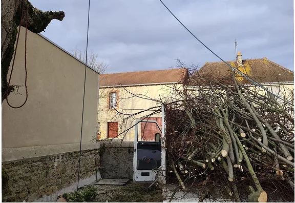 Parcours accrobranche